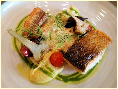 provenzalische Küche - Fische der Bouillabaisse - Spezialitäten der Provence