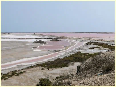 Salinen Salin-de-Giraud (Camargue) im Juni