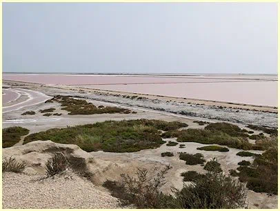 Salinen Salin-de-Giraud (Camargue) im Juni