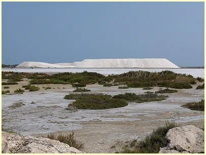 Salzhügel Salin-de-Giraud (Camargue) im Juni