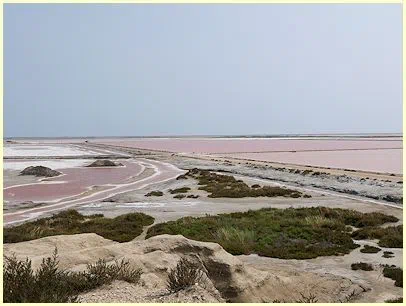 Provence Salinen Naturpark Camargue