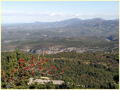 Provence Sehenswürdigkeiten und Tipps Naturpark Ventoux