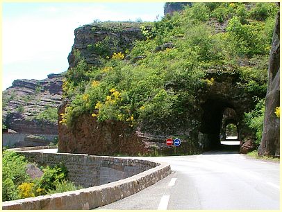 Straße durch die Schlucht Gorges de Daluis