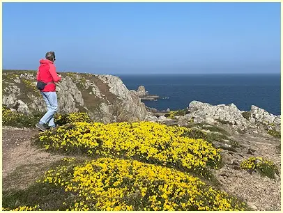 Pointe du Van