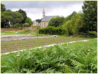 Gemüse, Artisckocken und Kapelle Keranroux - Insel Île de Bréhat