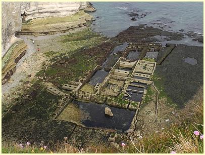 Alabasterküste - Mauerreste Austernkultur - Étretat