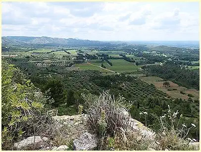 Naturpark Alpilles bei Les Baux-de-Provence