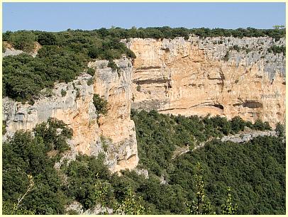 Kalksteinwand Belvédère du Colombier - Ardèche Schlucht