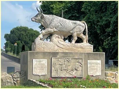 Cocardier-Stier - Beaucaire