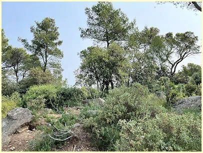 Fontvieille - Alpilles