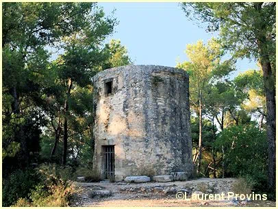 Fontvieille - Moulin Tissot-Avon
