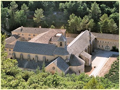 Lavendelfeld Ende Mai Abtei Abbaye Notre-Dame de Sénanque - Gordes