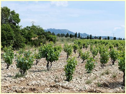 Weinbaugebiet Séguret AOC, Côtes-du-Rhône Villages
